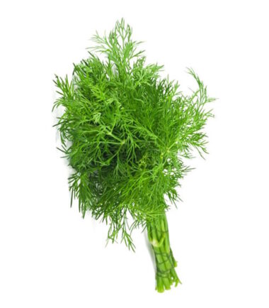 Άνιθος (ΤΕΜ)